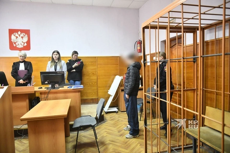 Следствие попросило отправить подростка домой