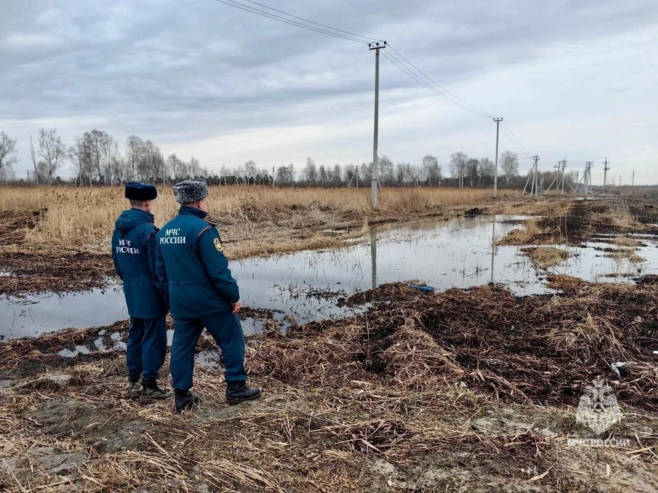 Фото: Информационный центр правительства Тюменской области.