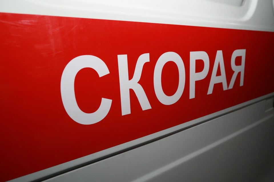 СК проводит проверку