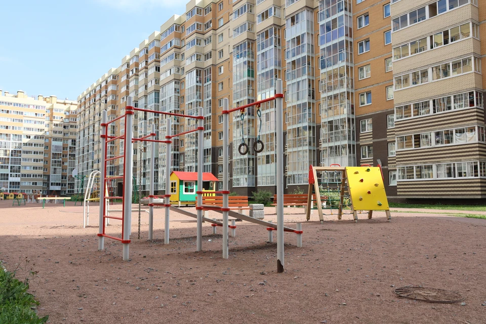 В Петербурге снова стартовал проект «Твой бюджет».