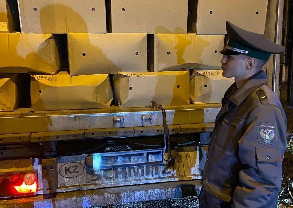 Грузоперевозчика привлекли к ответственности. Фото: Россельхознадзор по Оренбургской области