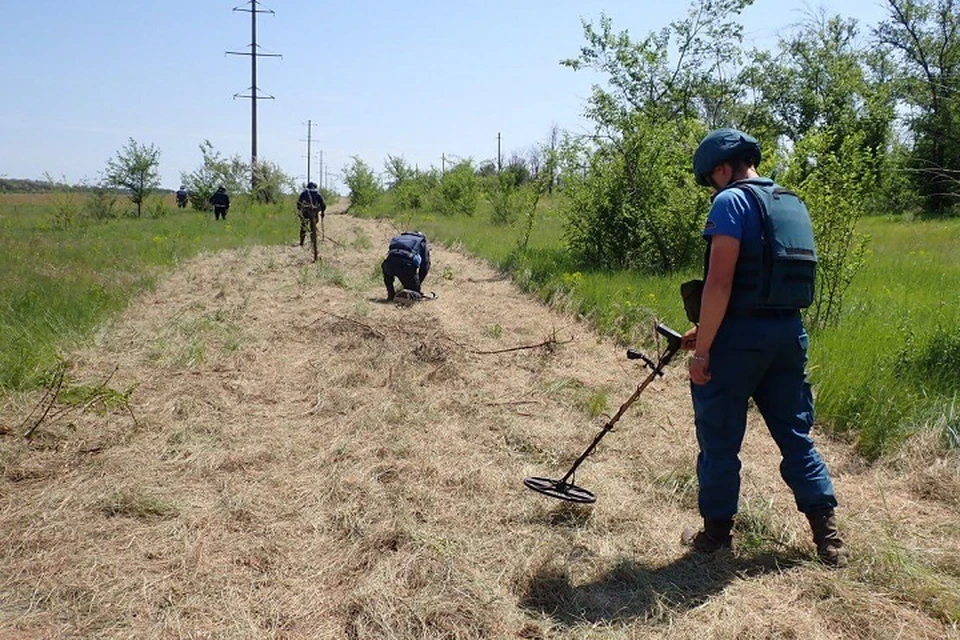 Более 280 взрывоопасных предметов сотрудники МЧС уничтожили в ДНР за сутки. Фото (архив): МЧС России по ДНР