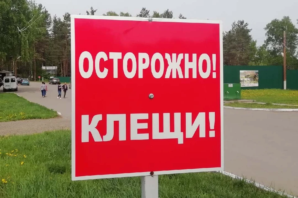 В регионе продолжатся обработка территорий