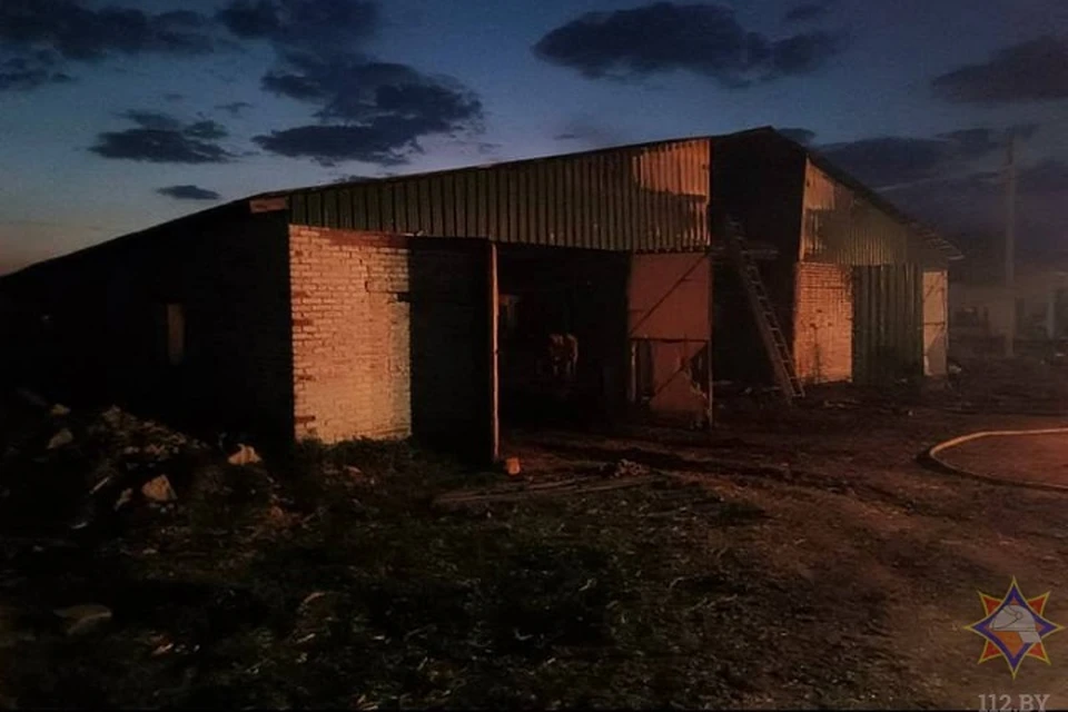 Спасатели потушили пожар в телятнике в Дубровенском районе. Фото: МЧС.