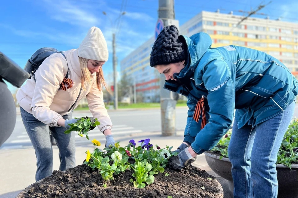 Активные работы по озеленению прошли в Петербурге. Фото: Комблаг