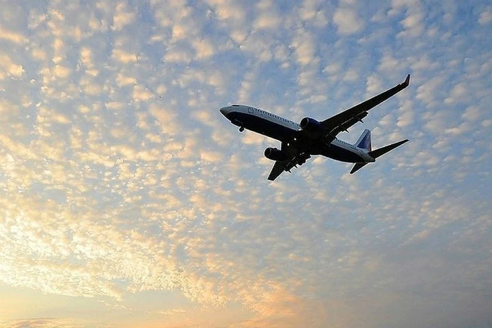 Приморца осудили в Хабаровске за хулиганство на борту самолета