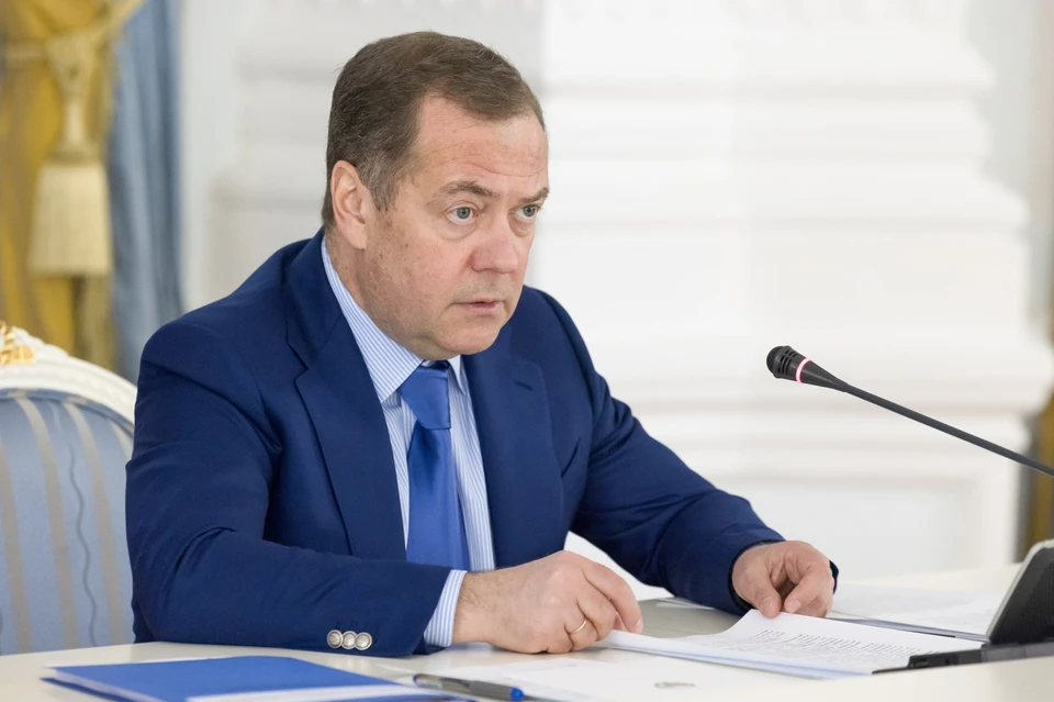 Дмитрий Медведев. Фото: Екатерина ШТУКИНА / POOL /ТАСС