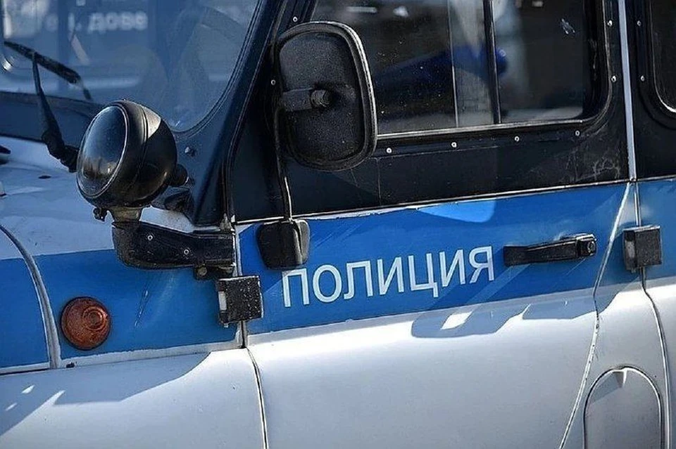 На эмоциональную женщину завели уголовное дело.