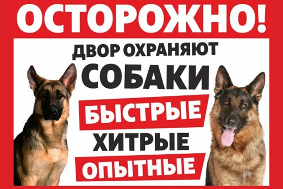 Открытый источник