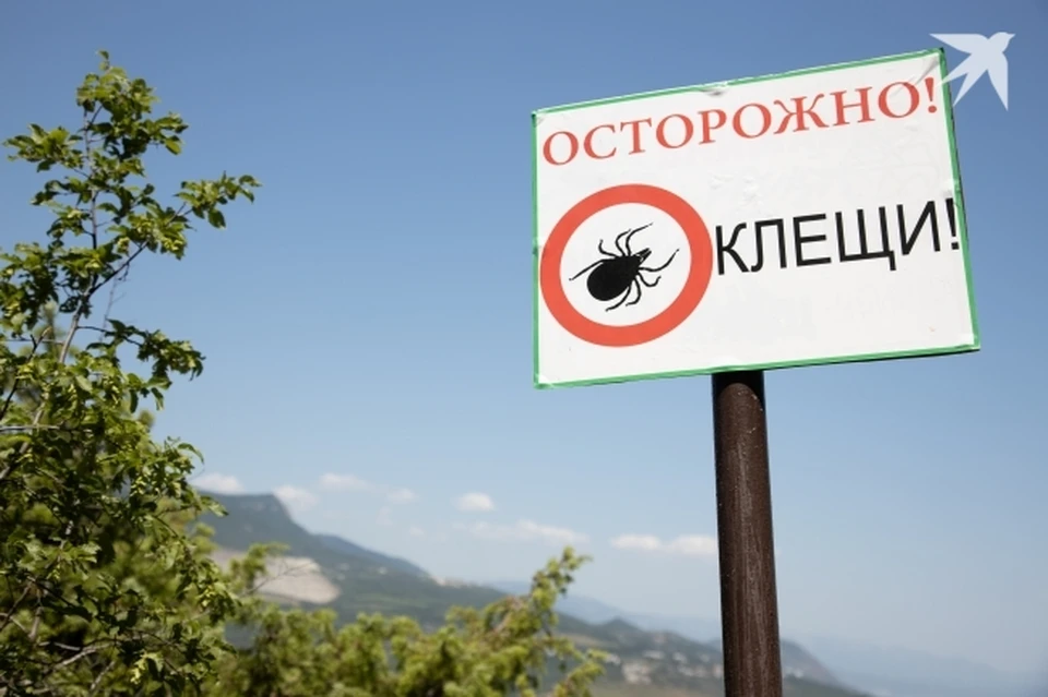 Жителям Среднего Урала посоветовали усилить меры защиты от клещей