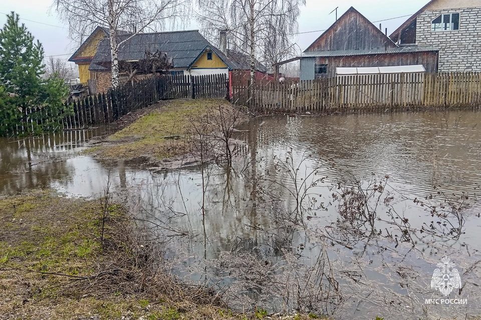 Фото: ГУ МЧС России по Пермскому краю