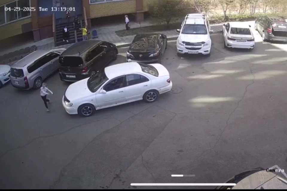 Скриншот: видео Госавтоинспекции Красноярского края