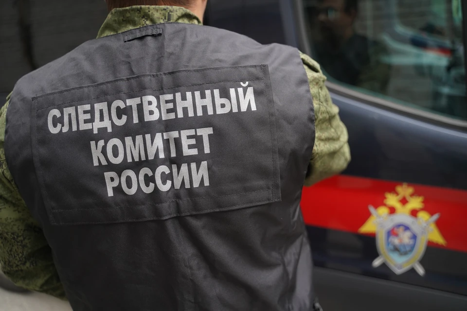 Расследуется уголовное дело по статье «Убийство»