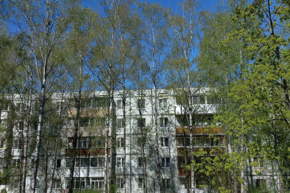 В Твери небо стало безоблачным, а ещё вчера сыпал снег!