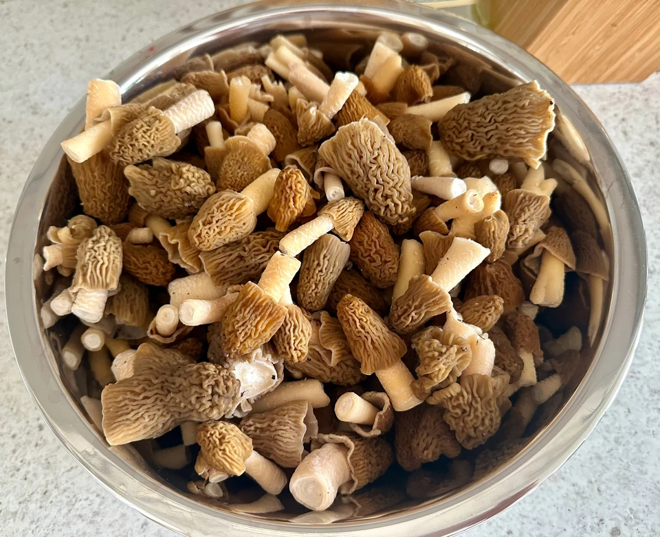 Фото: vk.com/omskmushroom