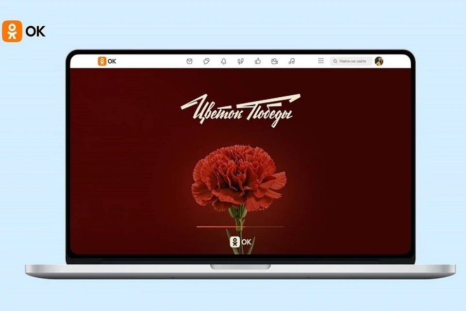 «Цветок Победы» — проект на стыке онлайна и офлайна, посвященный 80-летию Победы