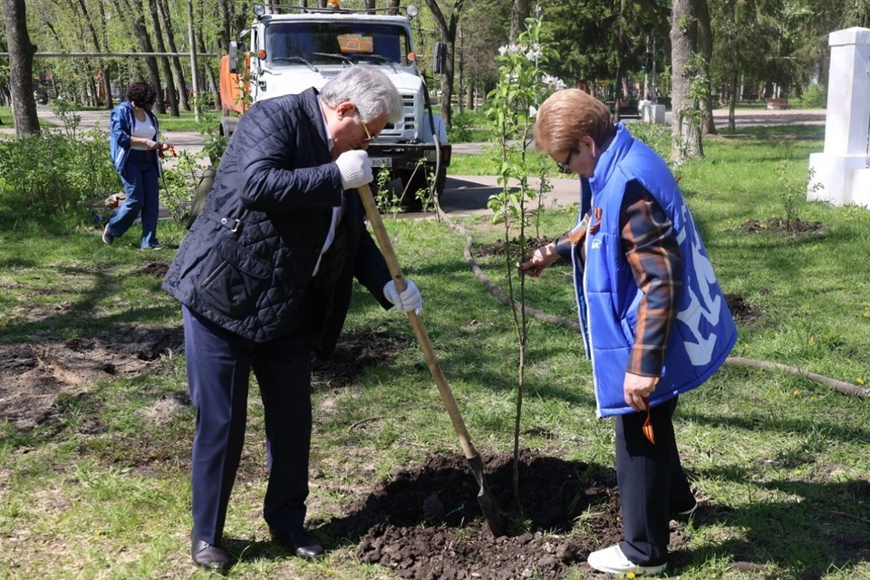 В Саду Победы на Мехзаводе теперь растет 80 яблонь. Фото: пресс-служба Самарской губернской думы
