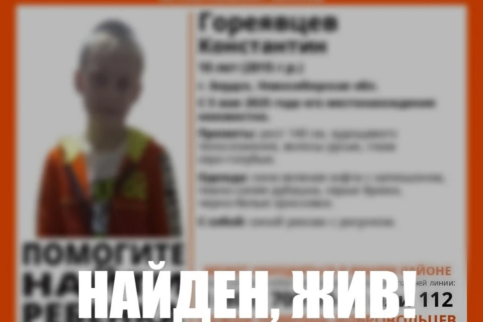 Пропавшего в Бердске 10-летнего мальчика нашли живым. Фото: ДПСО «ЛизаАлерт» по Новосибирской области