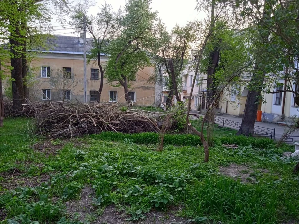 В калужских дворах с прошлого года гниют сваленные ветки деревьев.