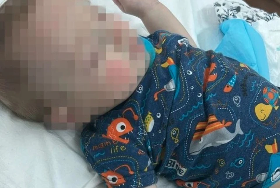 Семья Ивановых пережила настоящий ужас и обратилась в прокуратуру. Фото: КП - Дальний Восток