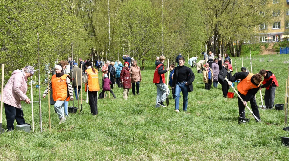 Источник: grad.kostroma.gov.ru