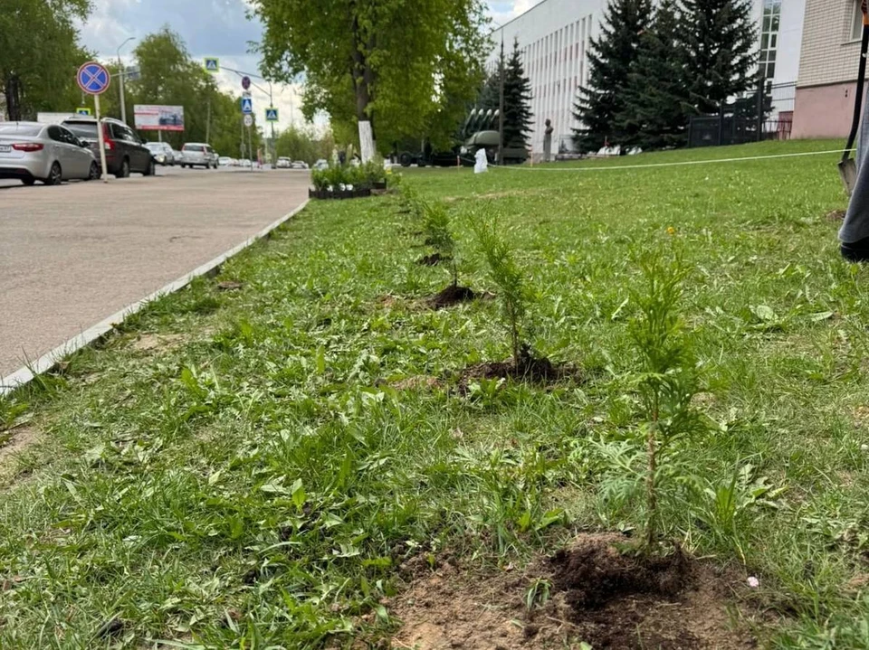 Фото: Александр Новиков