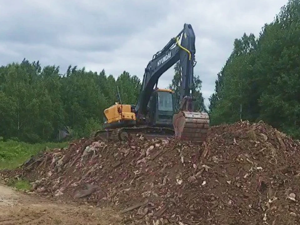Фото: пресс-служба правительства Кировской области