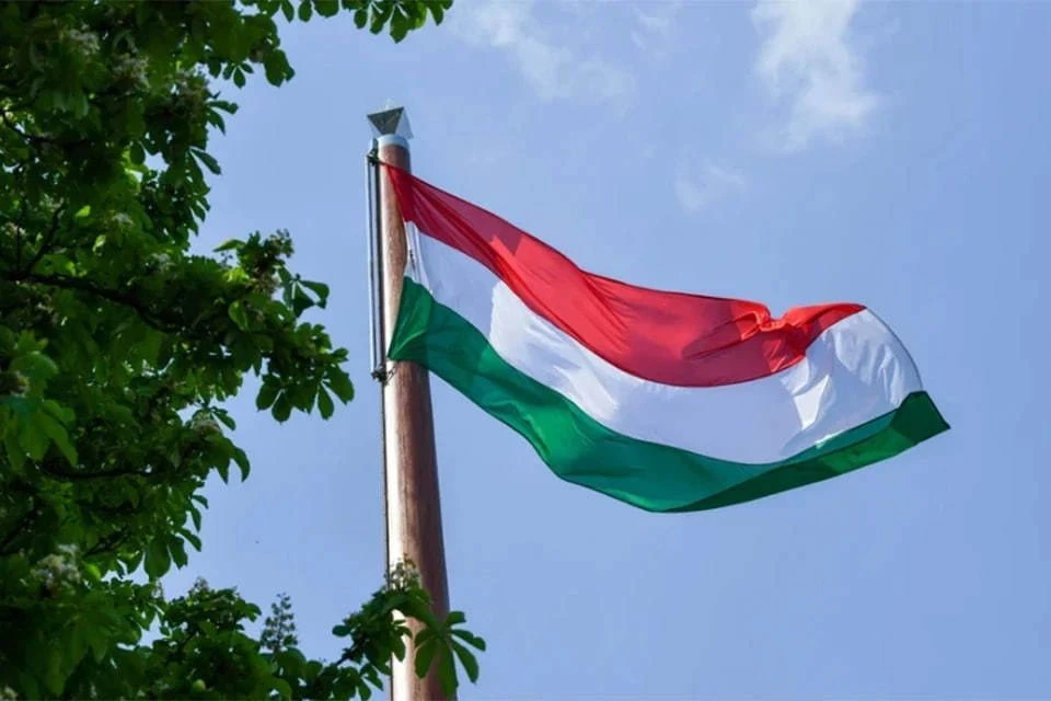 Венгрия отменила переговоры с Украиной по Закарпатью из-за шпионского скандала