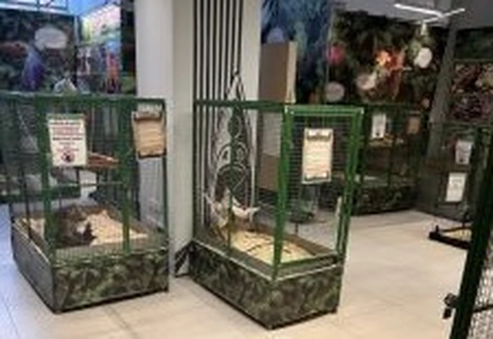 Владелец не позаботился о комфорте животных