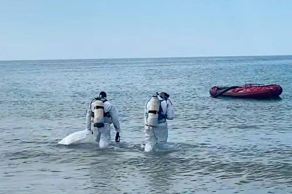 Фото: скриншот видео оперштаба Кубани