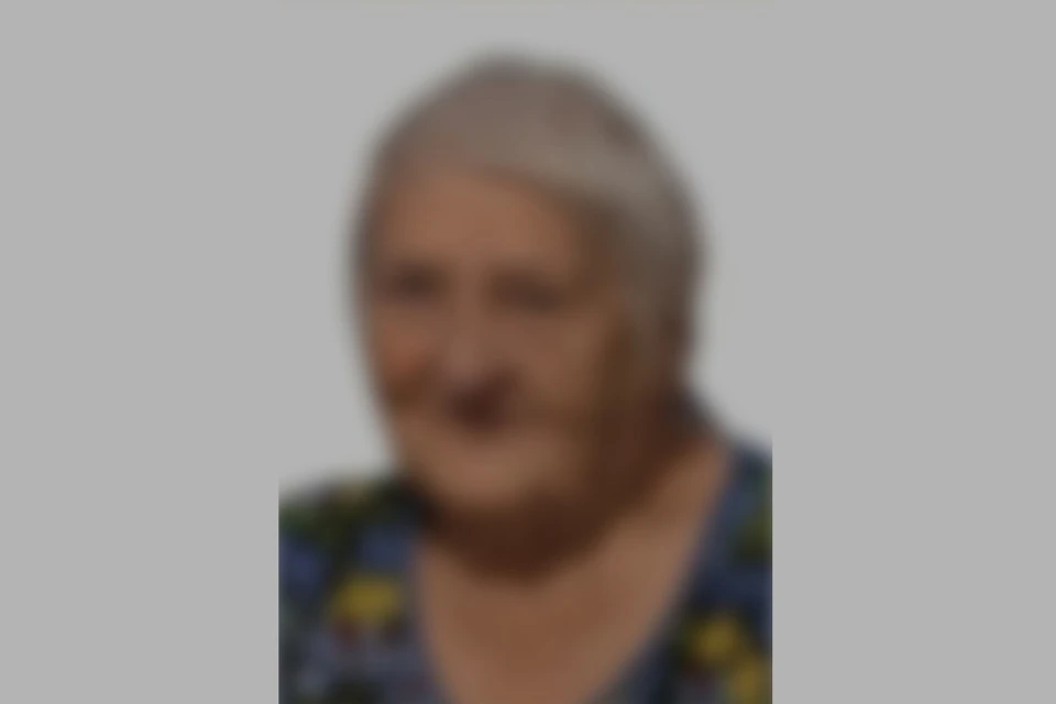 В Новосибирске пропала 88-летняя пенсионерка с тележкой и тростью. Фото: ДПСО «ЛизаАлерт» по Новосибирской области