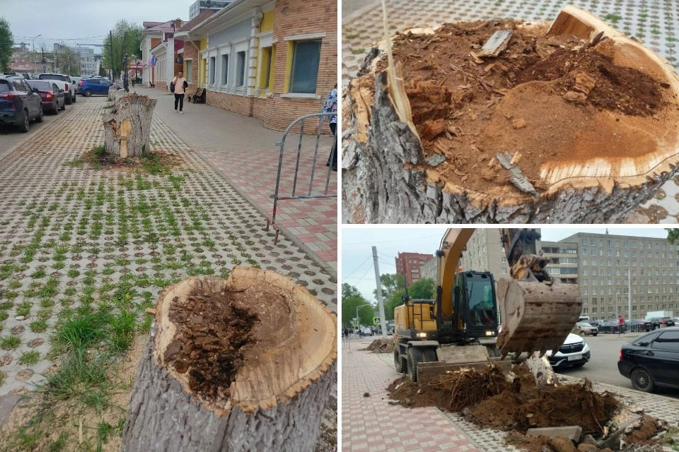 Фото: Аккаунт Илвира Нурдавлятова в соцсетях