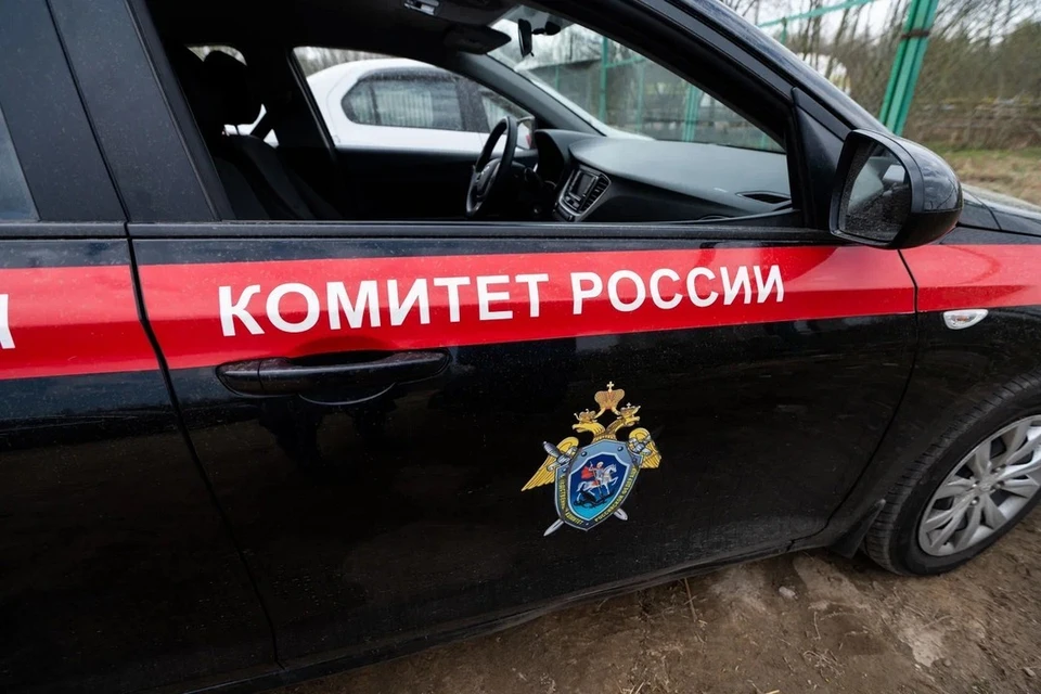 Бастрыкин поручил повторно возбудить уголовное дело о смерти новорожденного в медицинской организации в Новосибирской области.