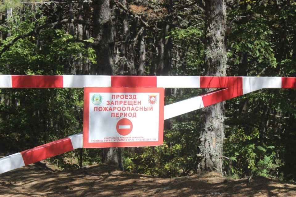 Коррективы обусловлены повышенной пожароопасностью. Фото: 82.mchs.gov.ru