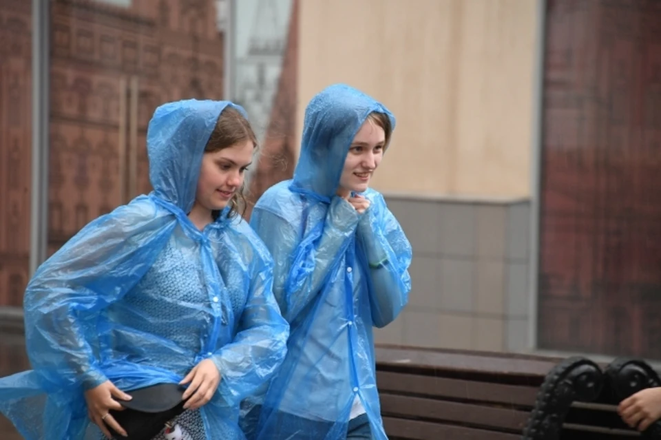 Атмосферные фронты на большей территории края вызовут дождь.