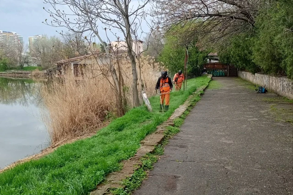 В Краснодаре выкосили почти 2,5 тысячи гектаров сорной травы Фото: пресс-служба городской администрации