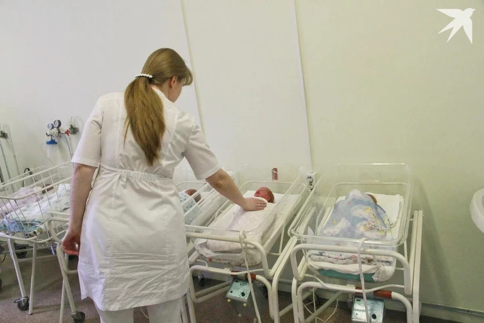 Ольга Чемоданова пояснила, в каком случае будет развиваться Беларусь. Снимок носит иллюстративный характер.