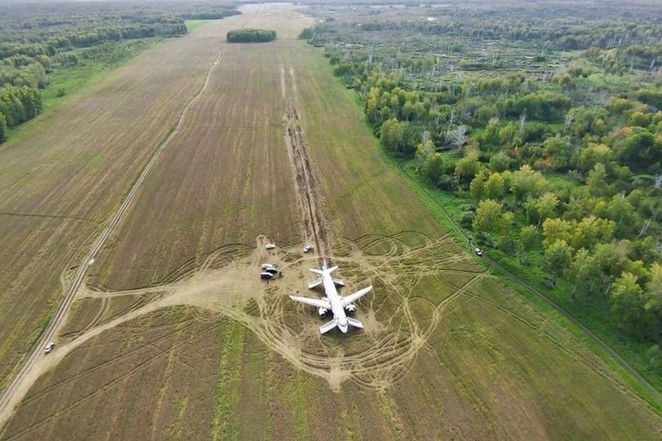 Одно из недавних инцидентов произошло в сентябре 2023 года. Фото: предоставлено пресс-службой «Уральских авиалиний»