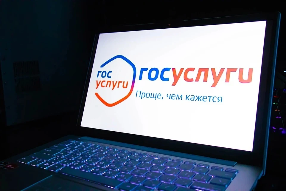 Россиян научат цифровой безопасности и защитят от мошенников: на «Госуслугах» появился сервис «Жизненная ситуация»