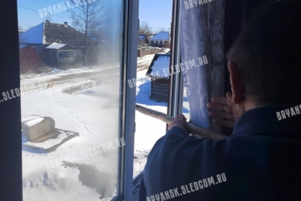 Фото: пресс-служба СУ СКР по Брянской области.