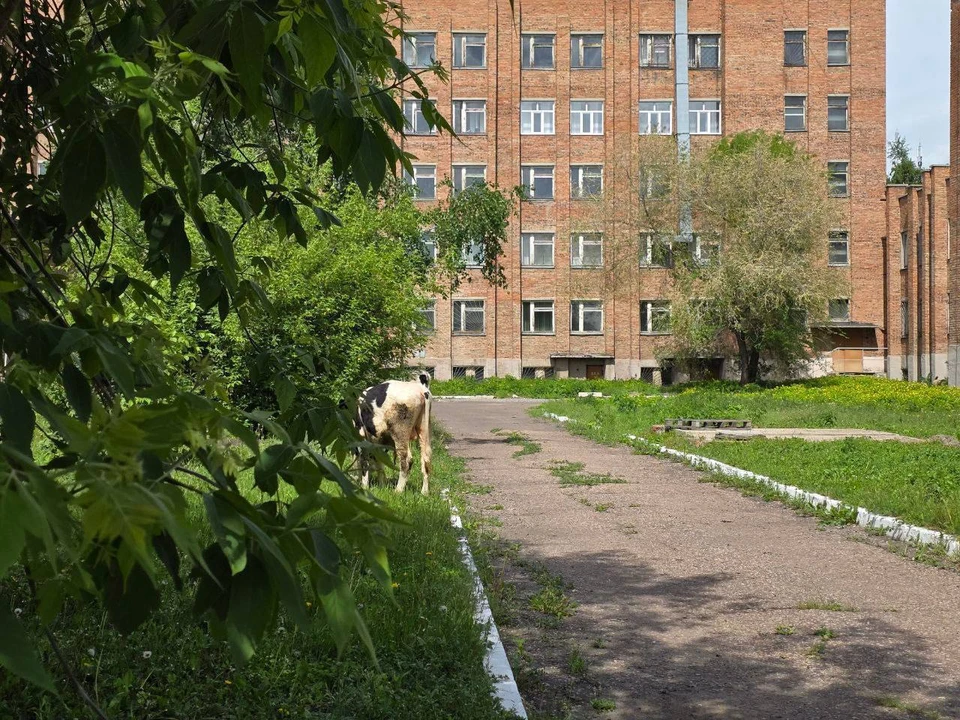 Фото: телеграм-канал «Инцидент Омск»