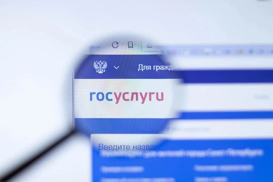 Россиянам рассказали, чем жертве может грозить взлом аферистами аккаунта на «Госуслугах»