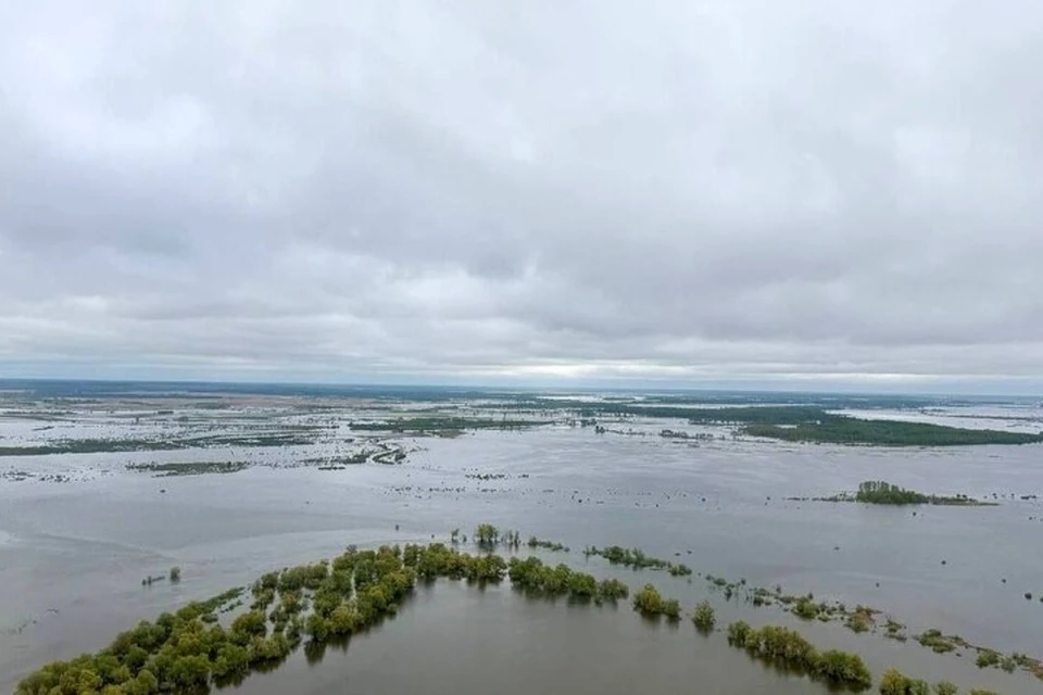 Фото: телеграм-канал Александра Моора