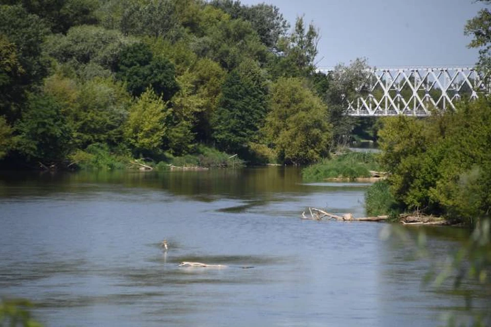 В Ростове в реке Темерник нашли тело школьника.