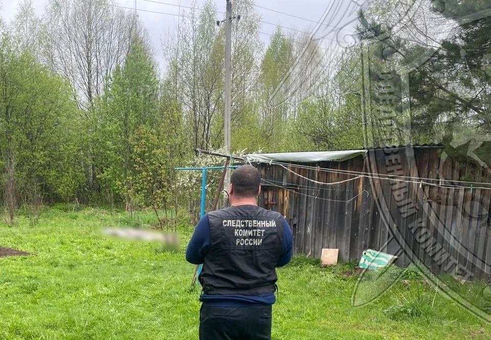 Фото: пресс-служба СУ СК России по Костромской области