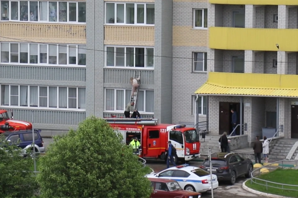 Жильцов квартиры спускали по лестнице. Скриншот видео ГУ МЧС России по АК
