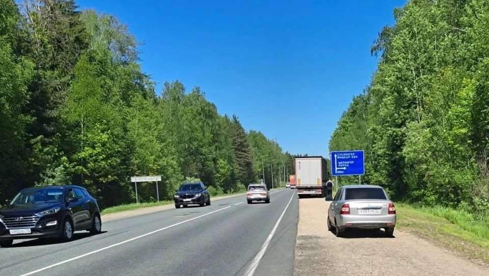 Фото: Госавтоинспекция Марий Эл.