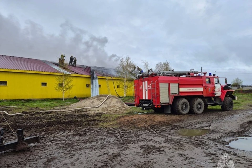 Фото: МЧС России по ХМАО-Югре