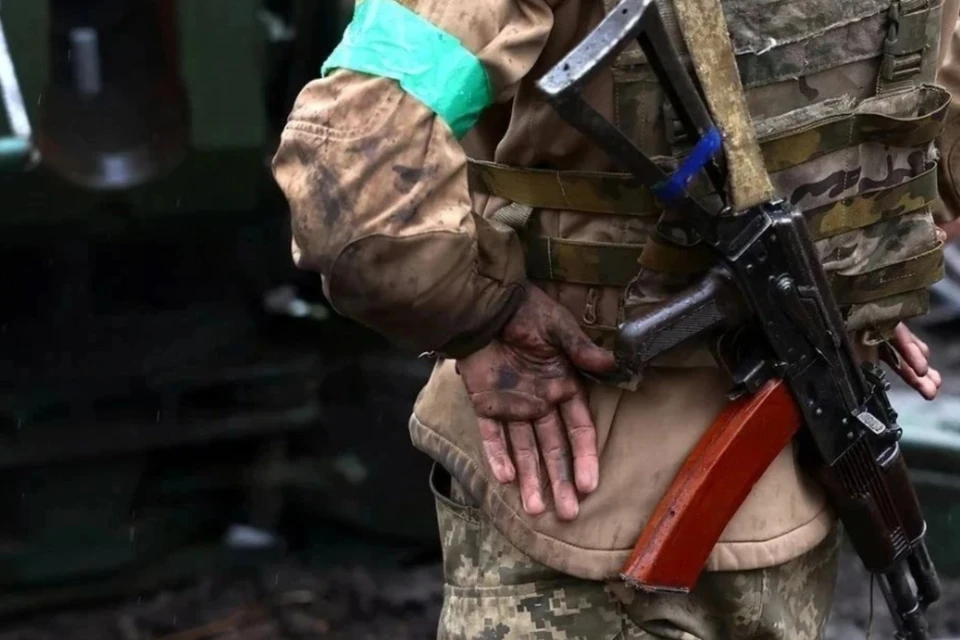 ТАСС: 67-я мехбригада ВСУ почти уничтожена в попытках обороняться на юге ДНР