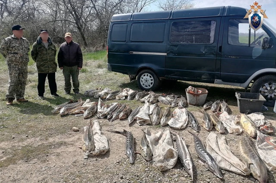 Ущерб превысил 7,4 млн рублей Фото: пресс-служба СУ СКР по Краснодарскому краю